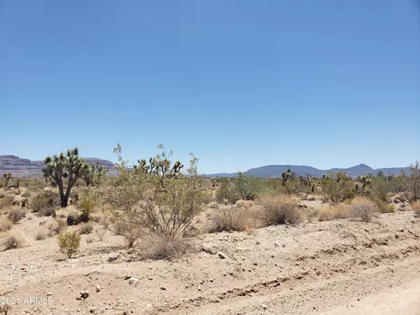 Meadview, AZ 86444,0 Sandview Drive #230