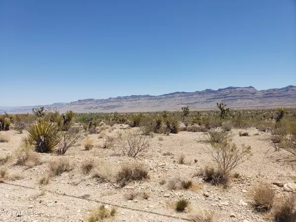 Meadview, AZ 86444,1510 W PROMONTORY Drive #625