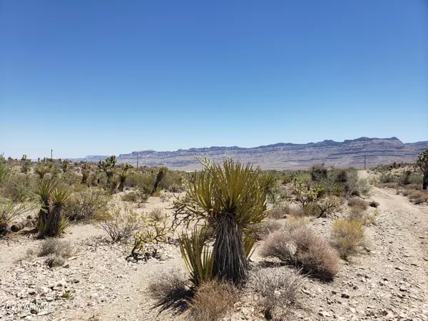 Meadview, AZ 86444,1565 W HOOVER Drive #693