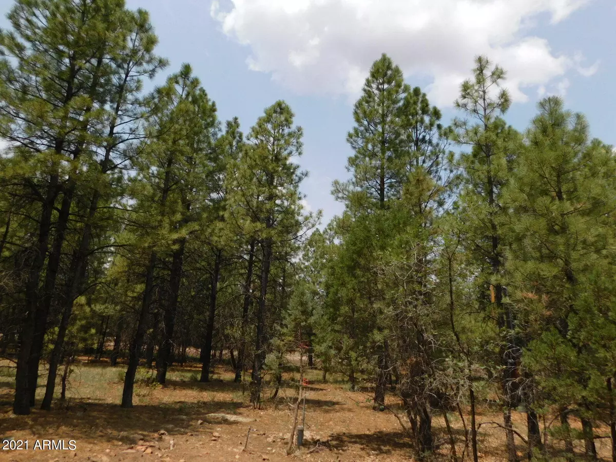 Happy Jack, AZ 86024,1825 Evergreen Path #246