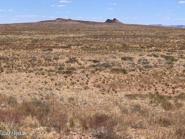 Holbrook, AZ 86025,Ranches #123 Lot 29 -- #-