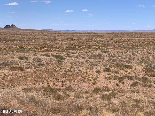 Ranches #123 Lot 29 -- #-, Holbrook, AZ 86025