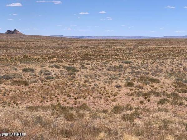 Holbrook, AZ 86025,Ranches #123 Lot 29 -- #-