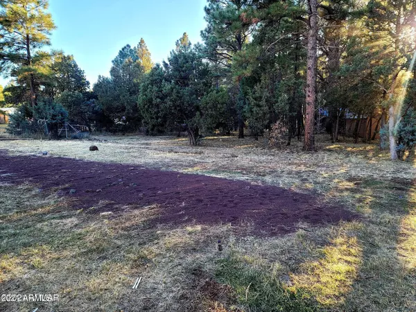 Lakeside, AZ 85929,170 Twin Knoll Road