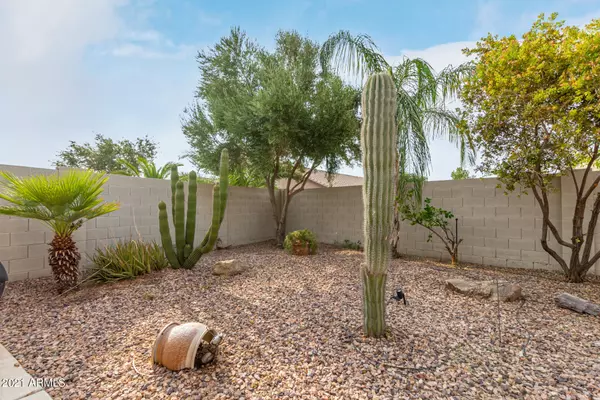 San Tan Valley, AZ 85143,86 E ZINNIA Place