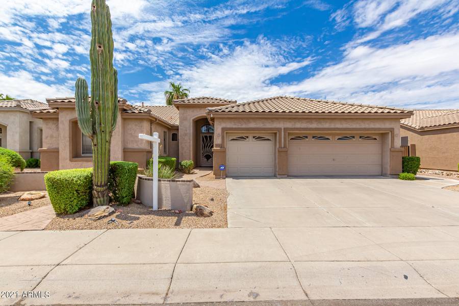 713 W RAVEN Drive, Chandler, AZ 85286