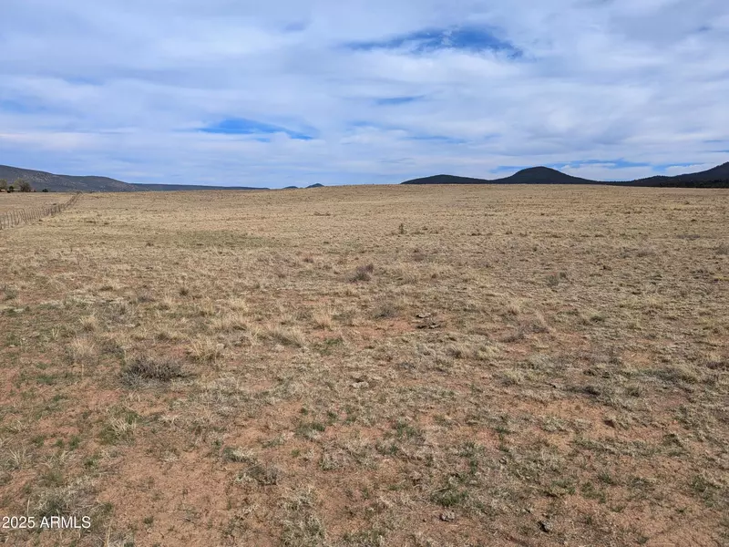 349 S ZACHARIAE RANCH Road #1, Young, AZ 85554