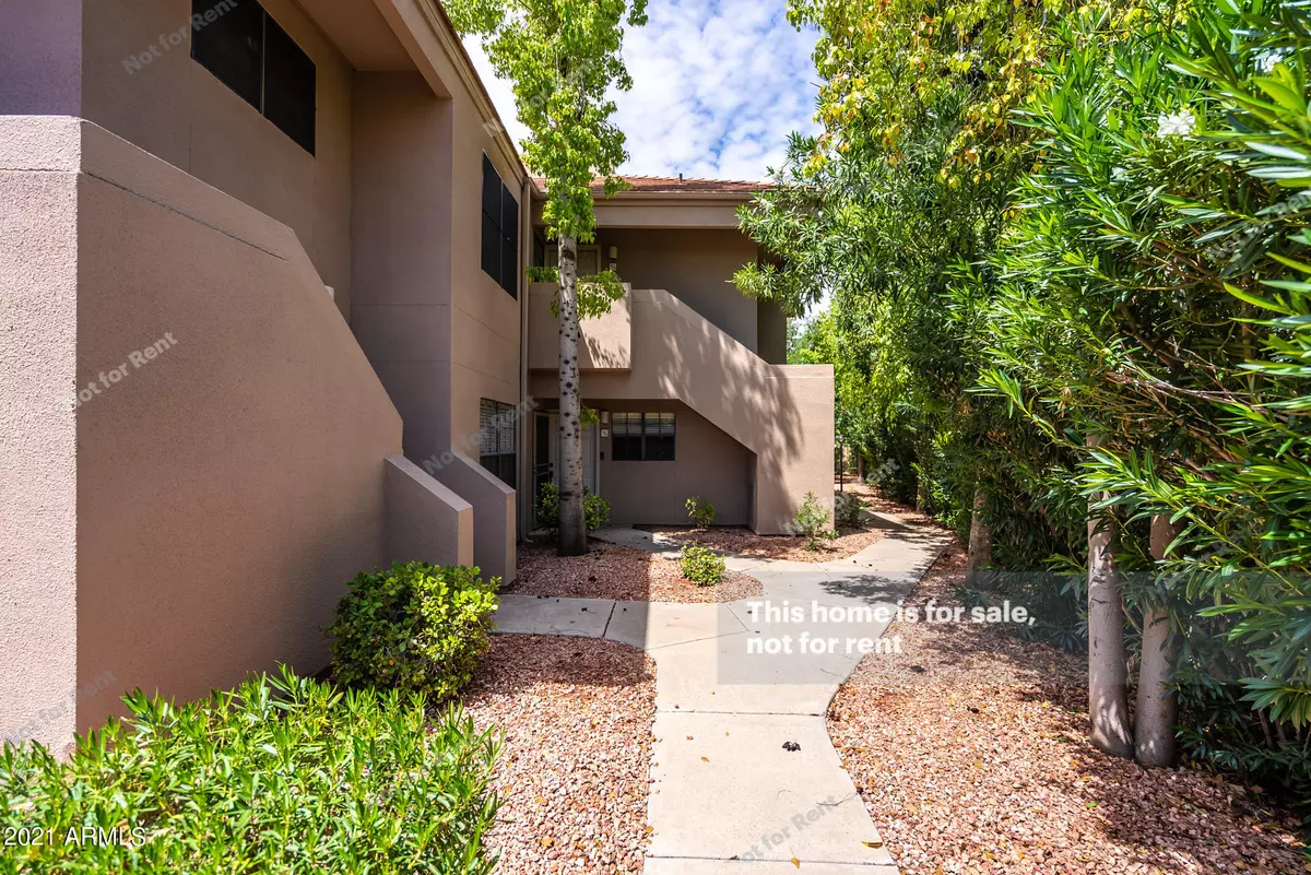 Scottsdale, AZ 85250,5950 N 78TH Street #230