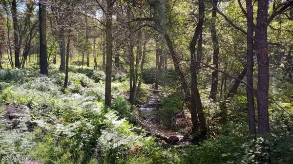 36 Big Al's Run #36, Payson, AZ 85541