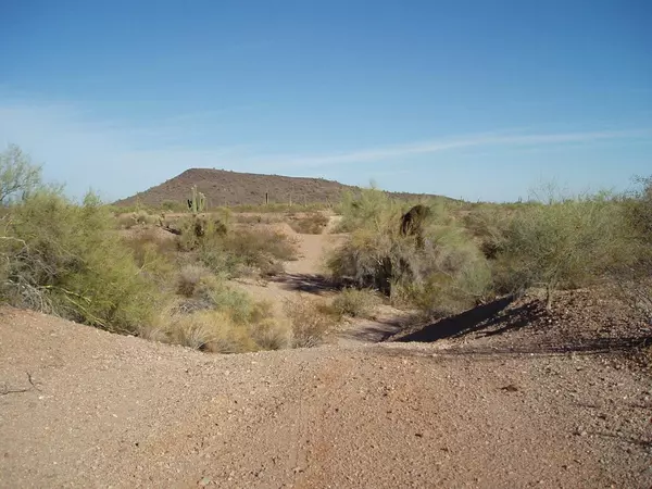 Unincorporated County, AZ 85361,30402 W Carefree Highway #267