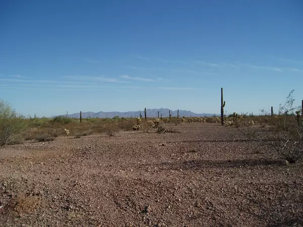 Unincorporated County, AZ 85361,30402 W Carefree Highway #267