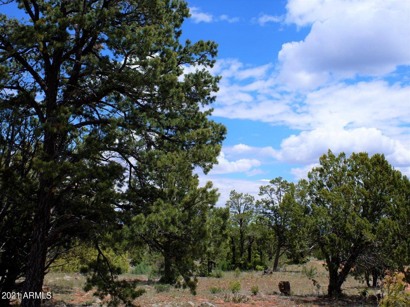 Happy Jack, AZ 86024,9046 Mogollon Trail #209