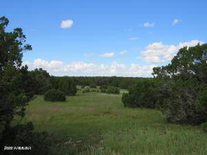 99 COUNTY ROAD 8127 -- #-, Concho, AZ 85924