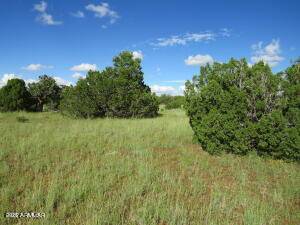 Concho, AZ 85924,99 COUNTY ROAD 8127 -- #-