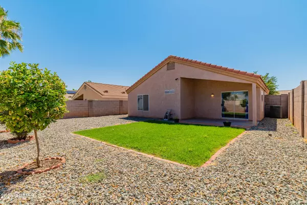 Chandler, AZ 85225,641 N WILLIAMS Street