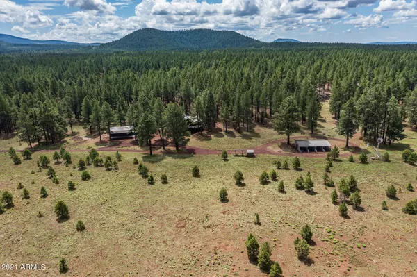 Flagstaff, AZ 86001,17242 N CROWLEY Trail