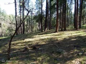 Payson, AZ 85541,1262 E Christopher Creek Loop #2