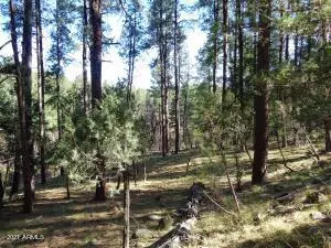 Payson, AZ 85541,1262 E Christopher Creek Loop #2