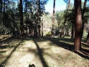 Payson, AZ 85541,1262 E Christopher Creek Loop #2