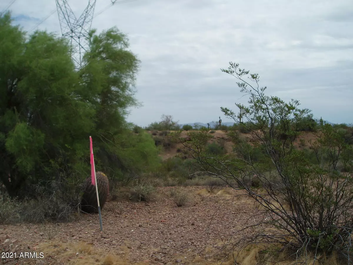 Unincorporated County, AZ 85361,29815 W Dove Valley Road #130