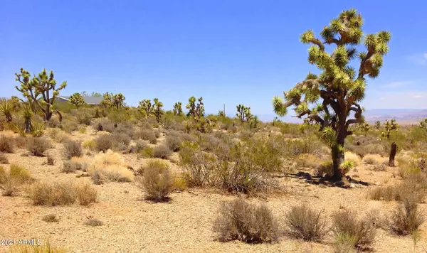 Meadview, AZ 86444,28257 DEADWOOD Lane #297