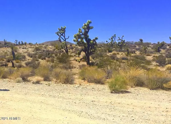 Meadview, AZ 86444,28257 DEADWOOD Lane #297