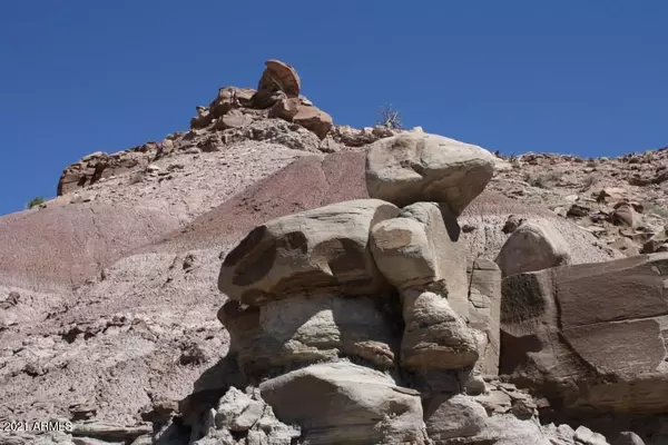 St Johns, AZ 85936,0 Unknown -- #307