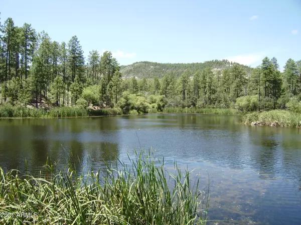 Crown King, AZ 86343,18 S Summer Homes Road