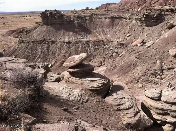 St Johns, AZ 85936,0 Unknown -- #308