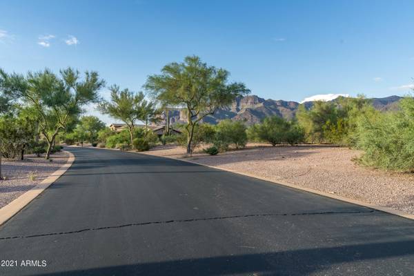 Gold Canyon, AZ 85118,3405 S PONDEROSA Drive S #29