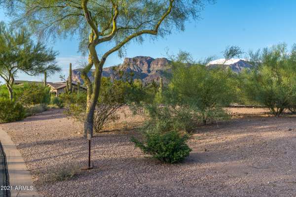 Gold Canyon, AZ 85118,3405 S PONDEROSA Drive S #29