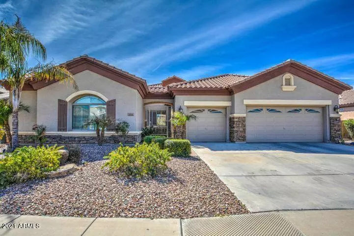 Chandler, AZ 85249,2801 E BUENA VISTA Drive