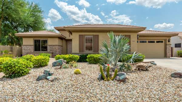 Gilbert, AZ 85297,1343 E IBIS Street