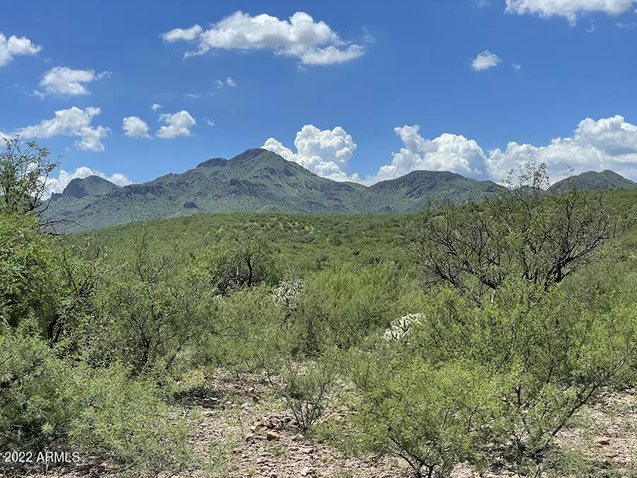 Tubac, AZ 85646,1 Vista de Torres Lane -- #1