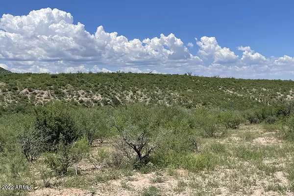 Tubac, AZ 85646,1 Vista de Torres Lane -- #1