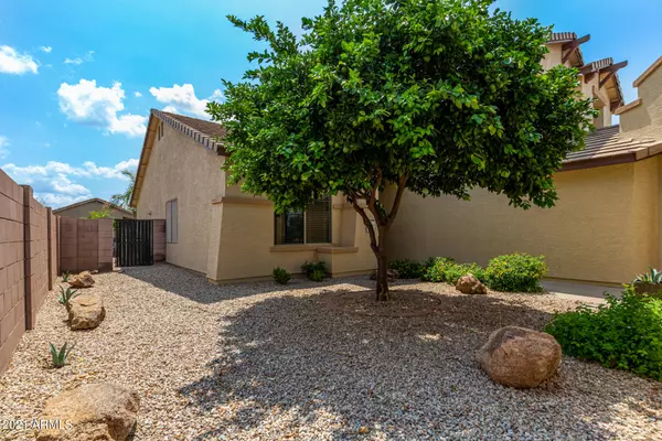 Chandler, AZ 85249,3025 E WINGED FOOT Drive