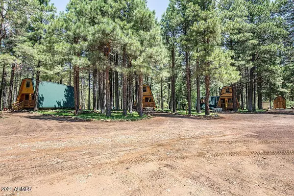 Forest Lakes, AZ 85931,793 BILLS Loop