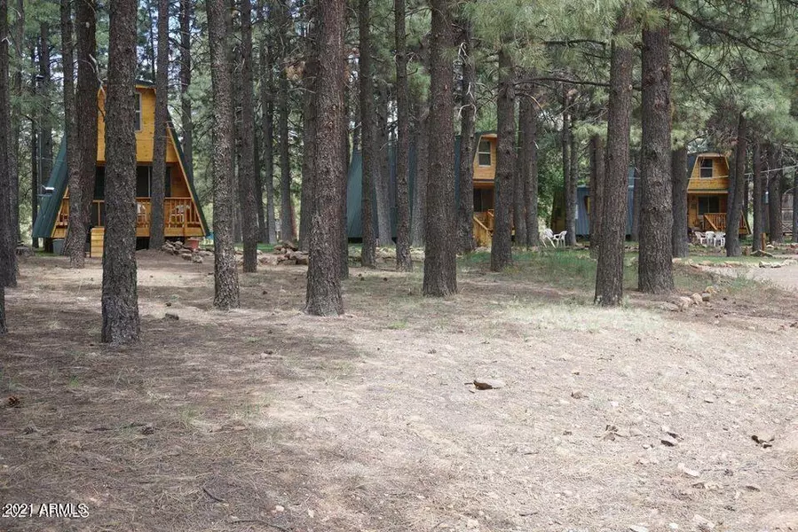 793 BILLS Loop, Forest Lakes, AZ 85931