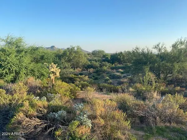 Scottsdale, AZ 85262,36325 N 105th Place #234