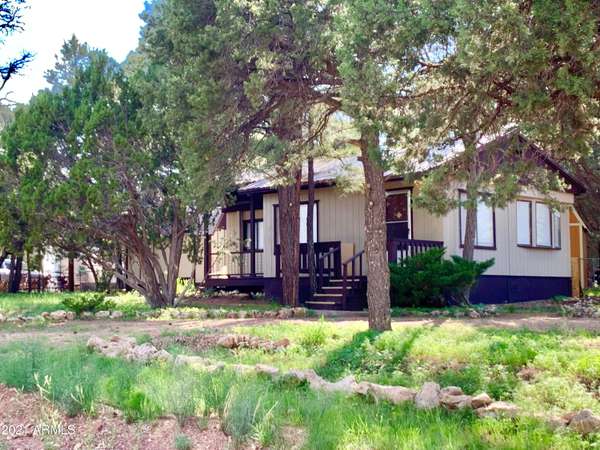 Overgaard, AZ 85933,2176 TENDERFOOT Trail