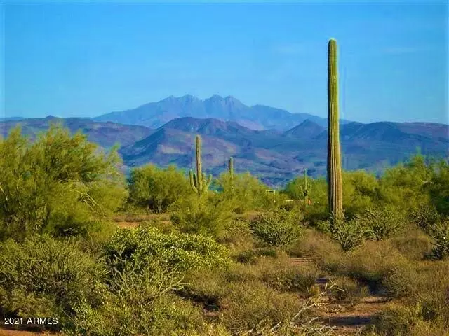 Rio Verde, AZ 85263,1704 E Maya Way #-