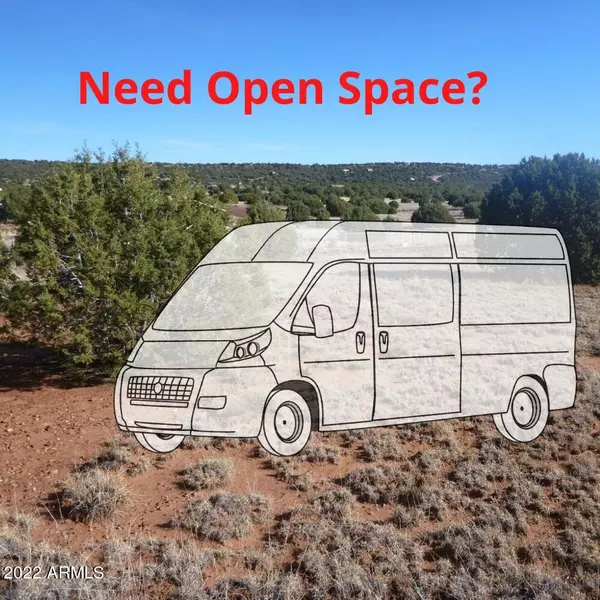 Apache, AZ 00000,0 Show Low Pines -- #398