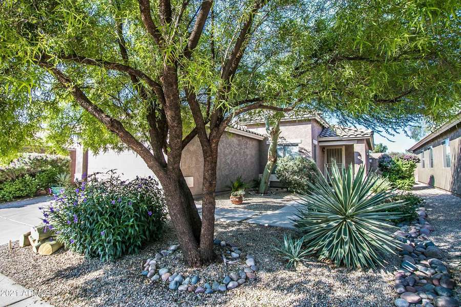 30610 N CORAL BEAN Drive, San Tan Valley, AZ 85143