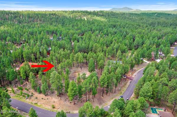 Flagstaff, AZ 86001,2892 N BOLDT Drive #63