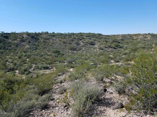 Wickenburg, AZ 85358,3 Grantham Ranch Road #3