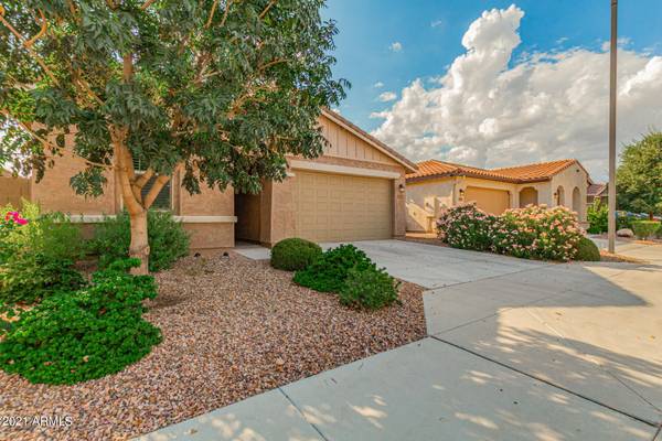 Peoria, AZ 85383,26216 N 122ND Lane