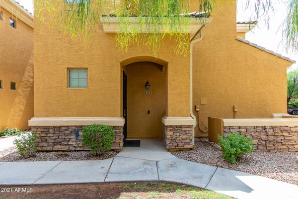 Chandler, AZ 85225,955 E KNOX Road #224