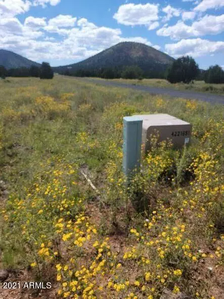 Williams, AZ 86046,7276 TULIP Trail #53