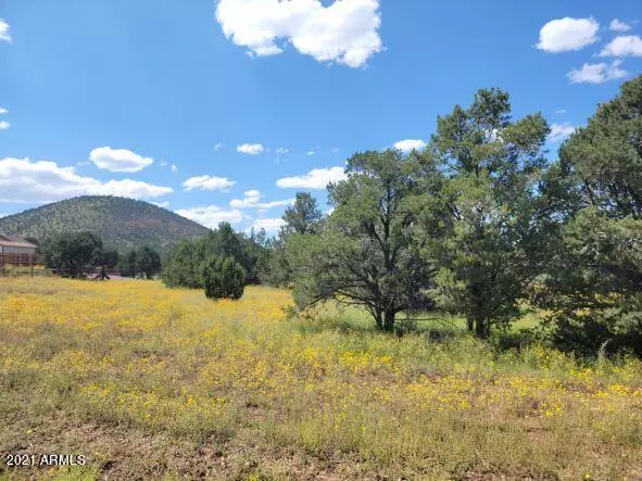 Williams, AZ 86046,7276 TULIP Trail #53