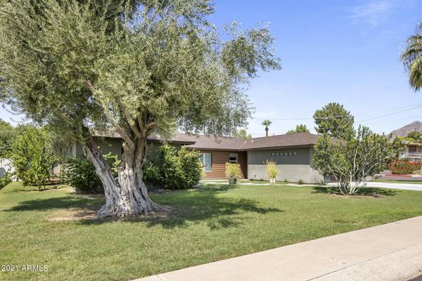 Scottsdale, AZ 85251,3344 N 62ND Street